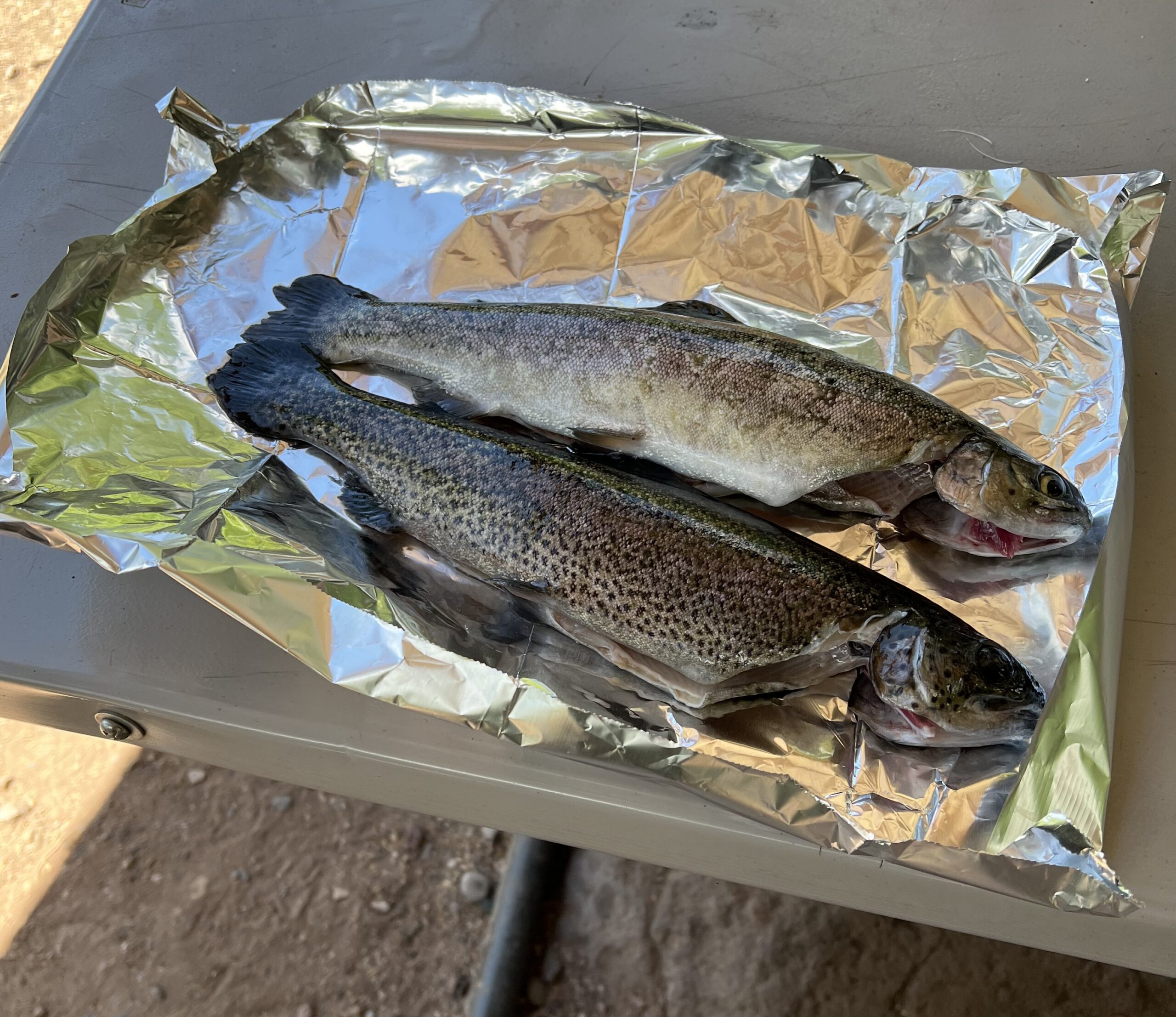 Grilling Trout Grilling Trout In Sedona | Photo Credit: Robert Farrington
