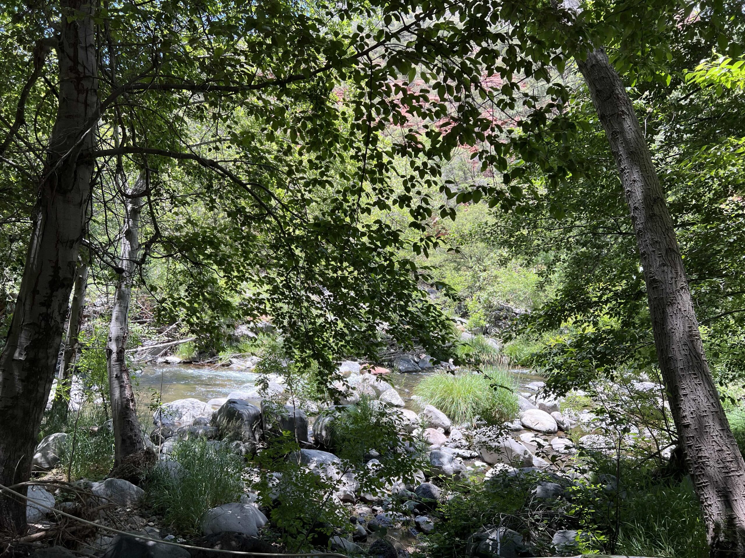 Sedona River Sedona River