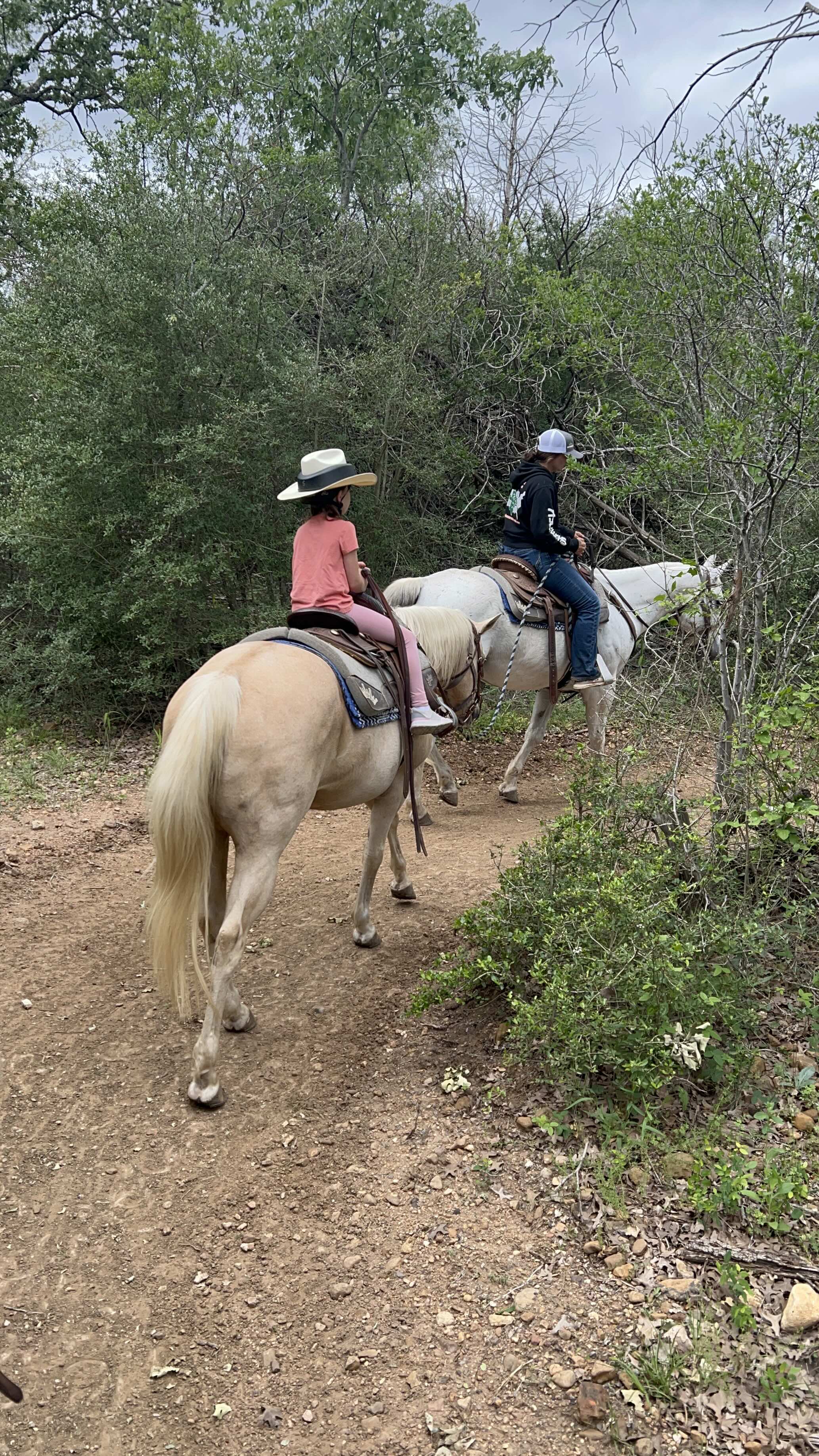 Horseback Riding Horseback Riding | Photo Credit: Robert Farrington